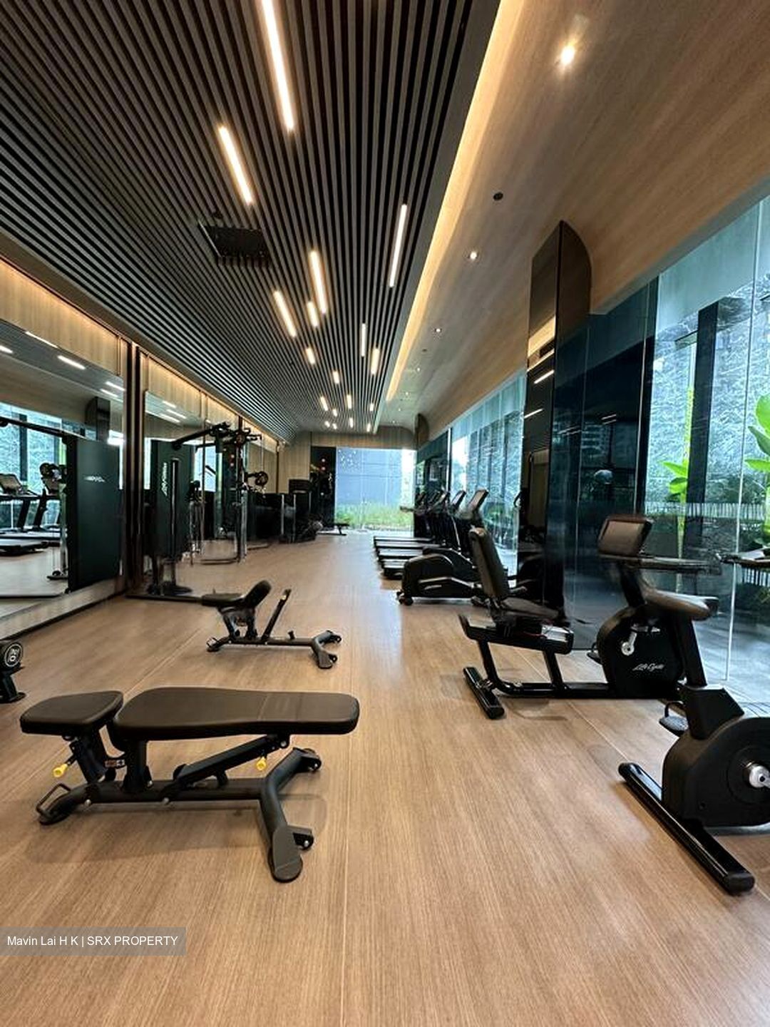 Leedon Green (D10), Condominium #422396121